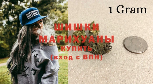 PSILOCYBIN Богородск