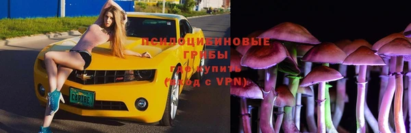 Альфа ПВП Бронницы