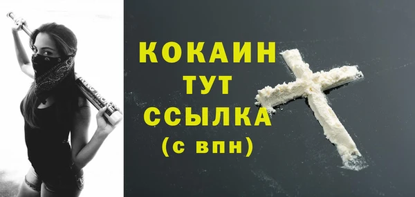 стафф Верея