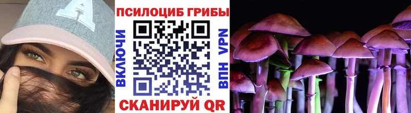 ОМГ ОМГ сайт  закладка  Кимовск  Псилоцибиновые грибы ЛСД 