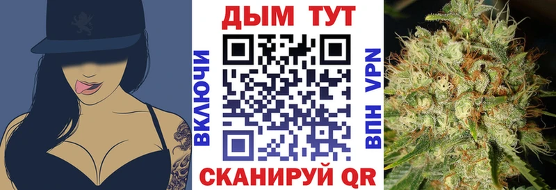 где купить наркоту  Кимовск  MEGA онион  Каннабис гибрид 